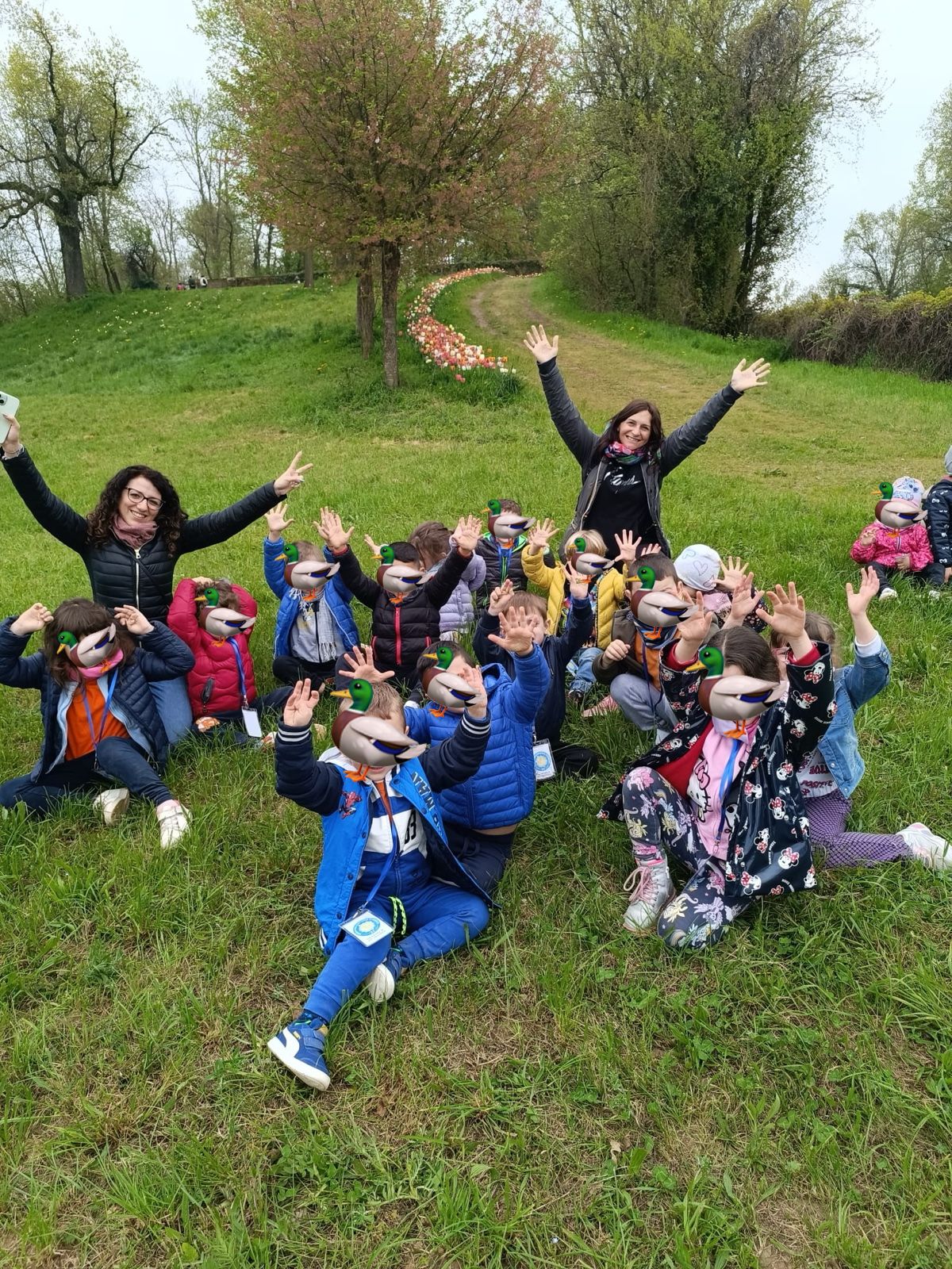 Attività degli Anatroccoli