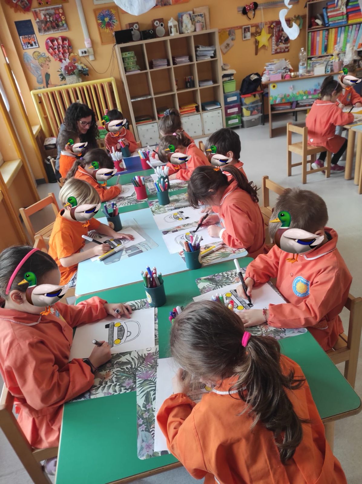 Attività degli Anatroccoli