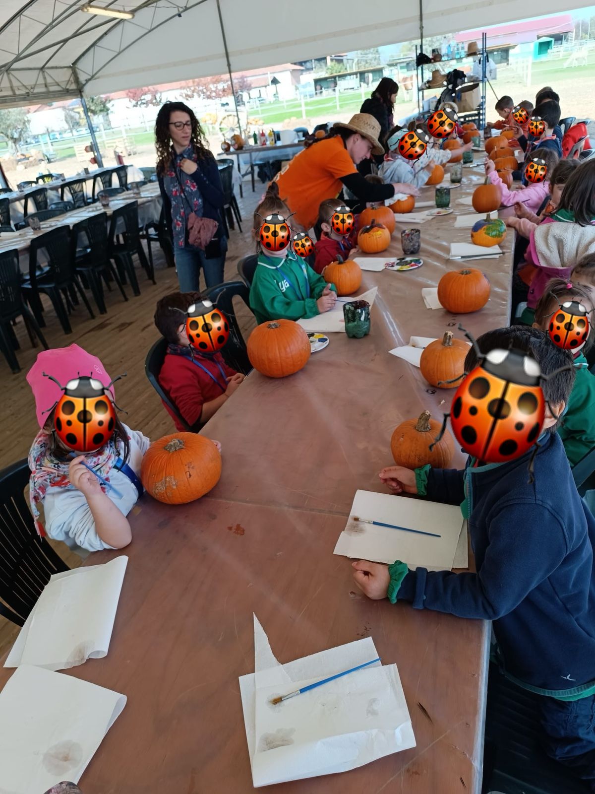 Attività delle Coccinelle