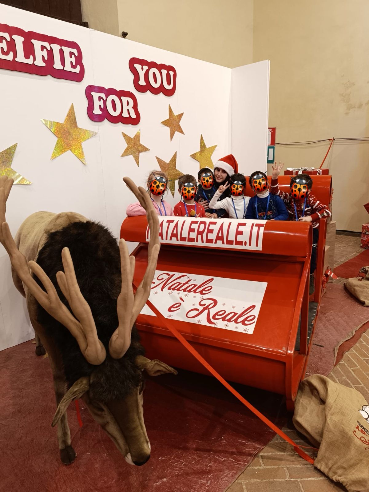 Attività delle Coccinelle