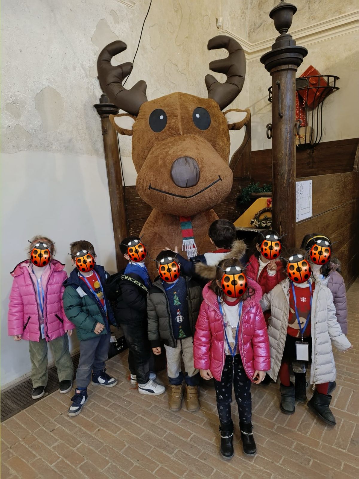 Attività delle Coccinelle