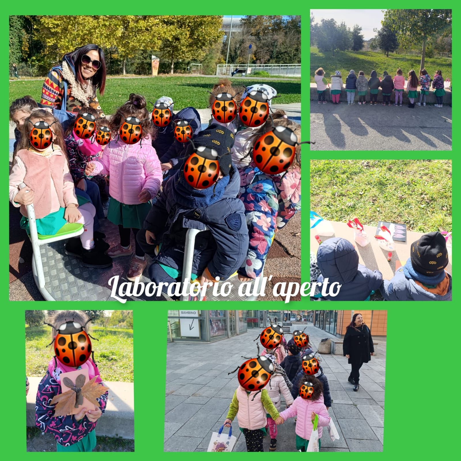 Sezione Coccinelle 2025/2026 6