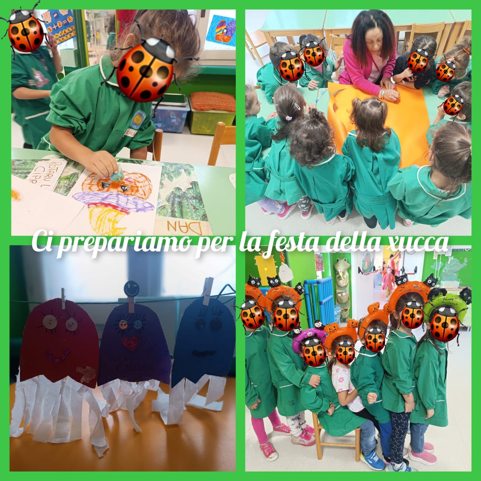 Sezione Coccinelle 2025/2026 7