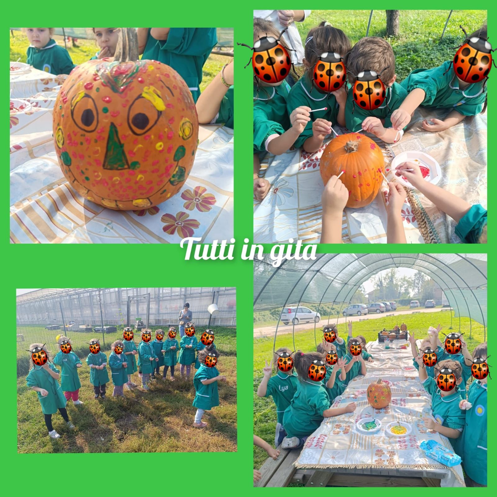 Sezione Coccinelle 2025/2026 8