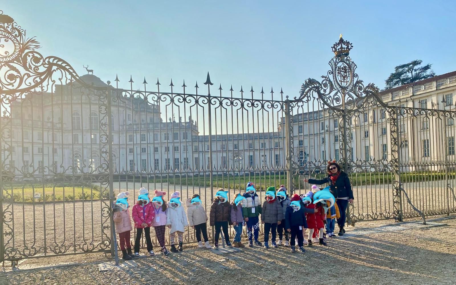 Attività dei Delfini