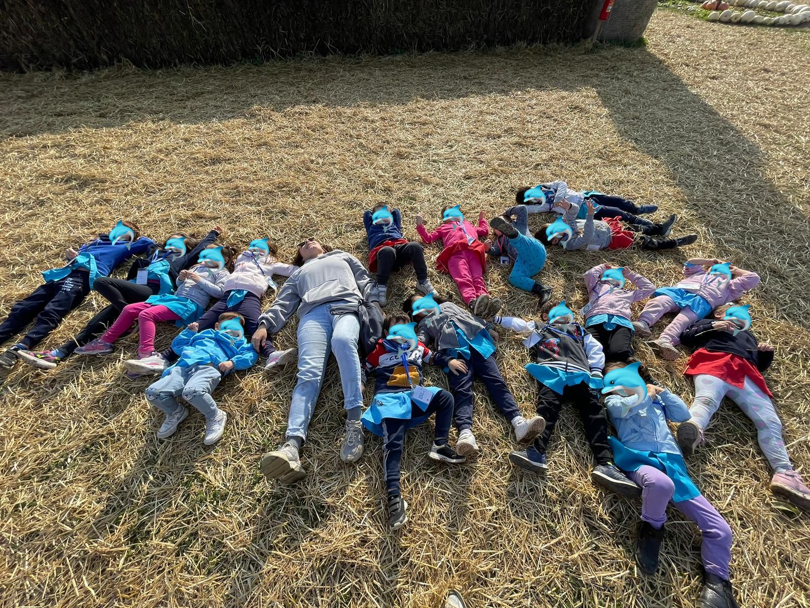 Attività dei Delfini