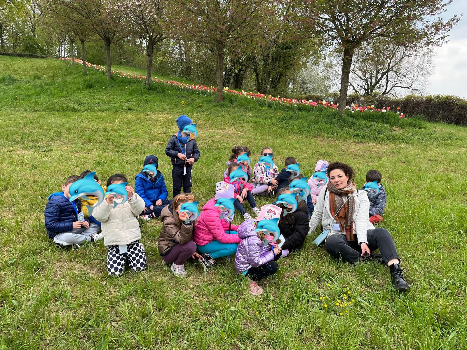 Attività dei Delfini