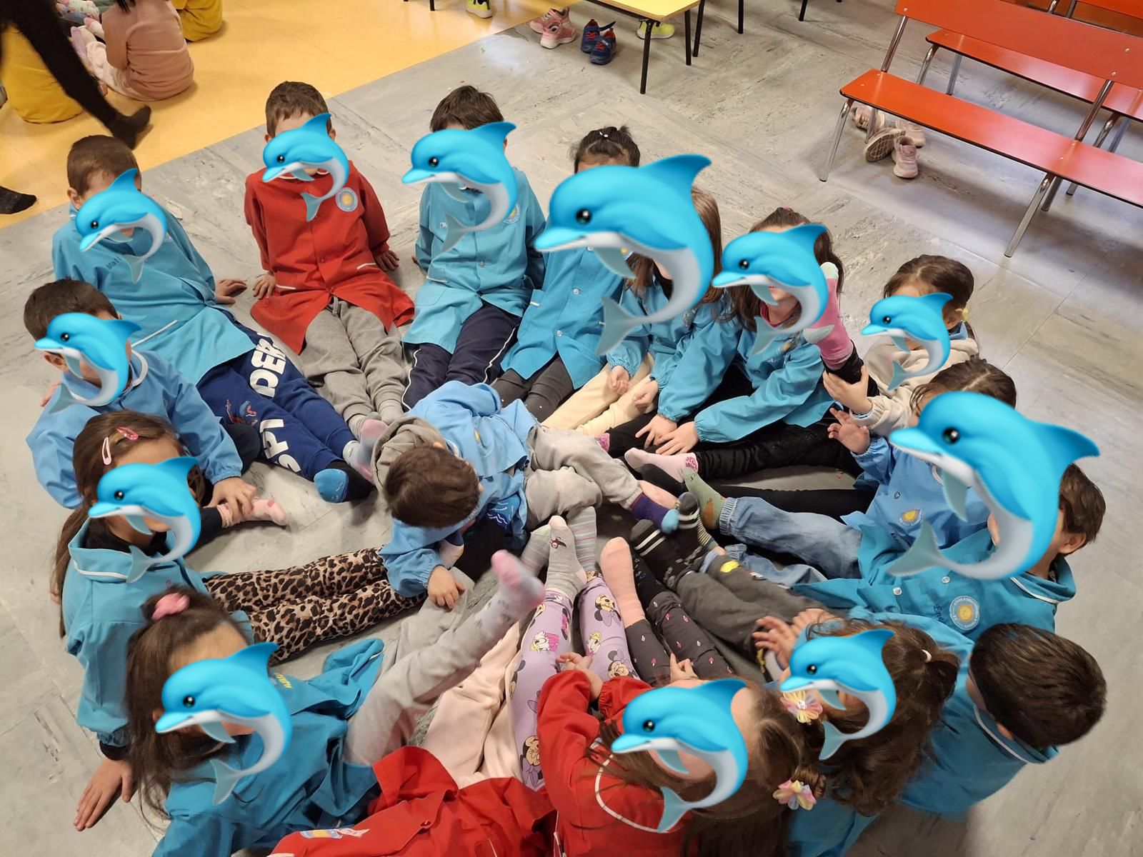 Attività dei Delfini