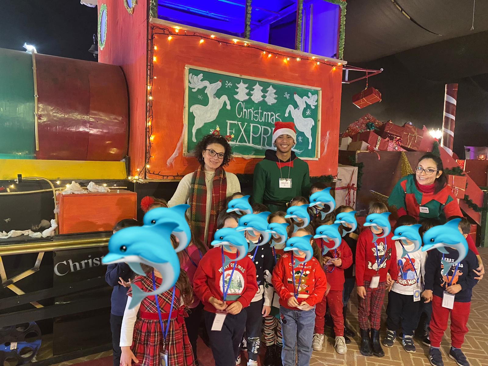 Attività dei Delfini