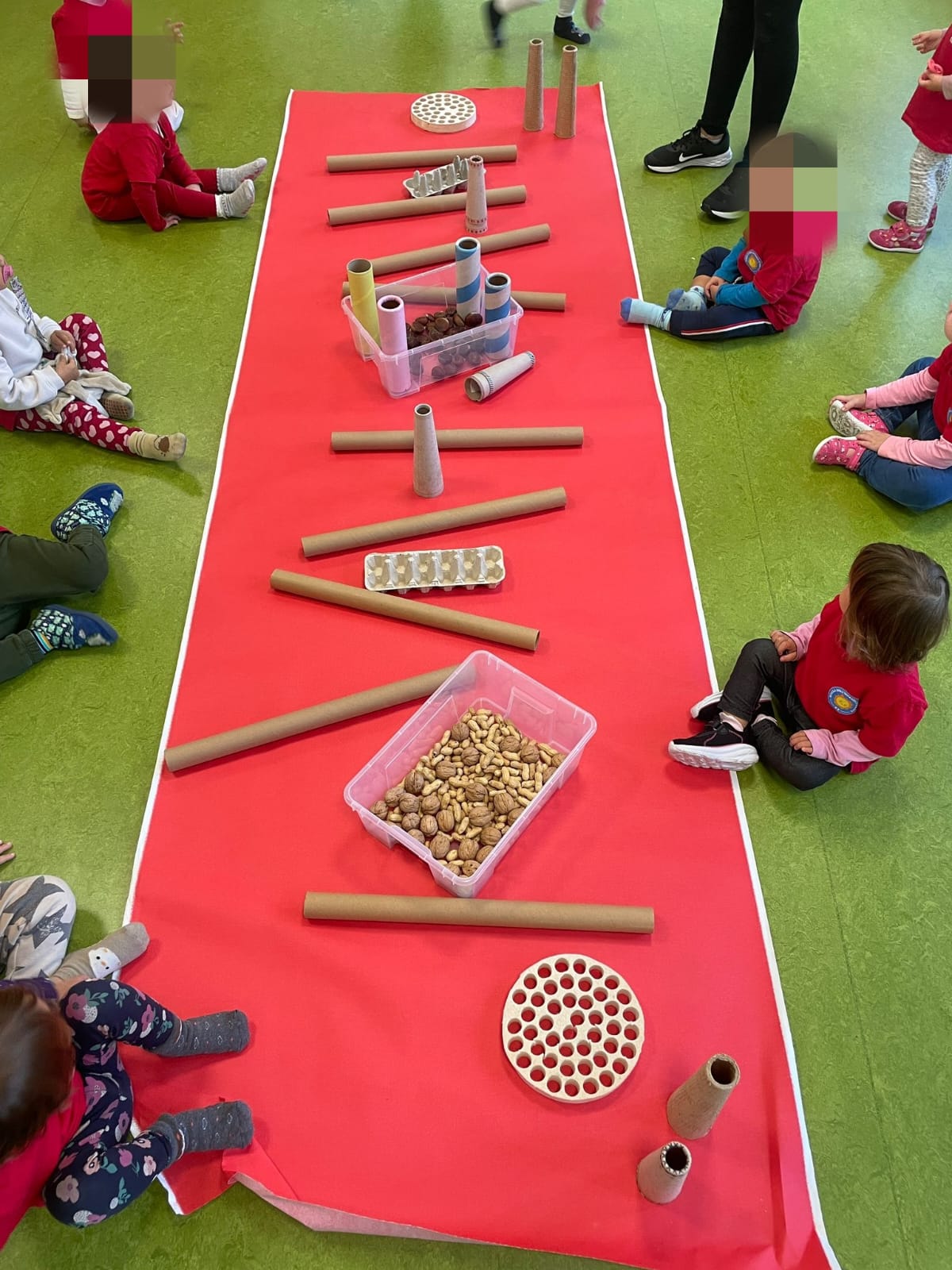 Attività della Sezione Primavera