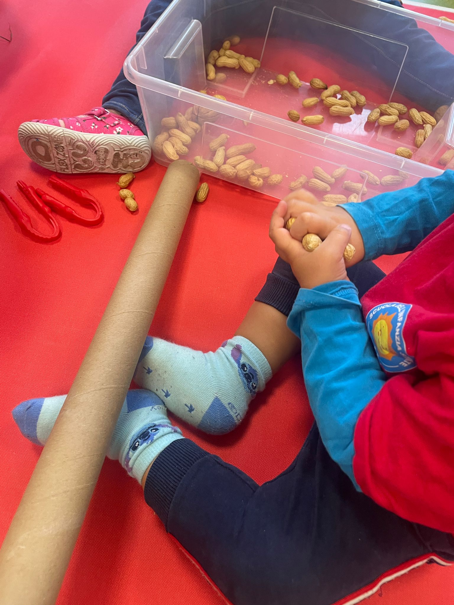 Attività della Sezione Primavera