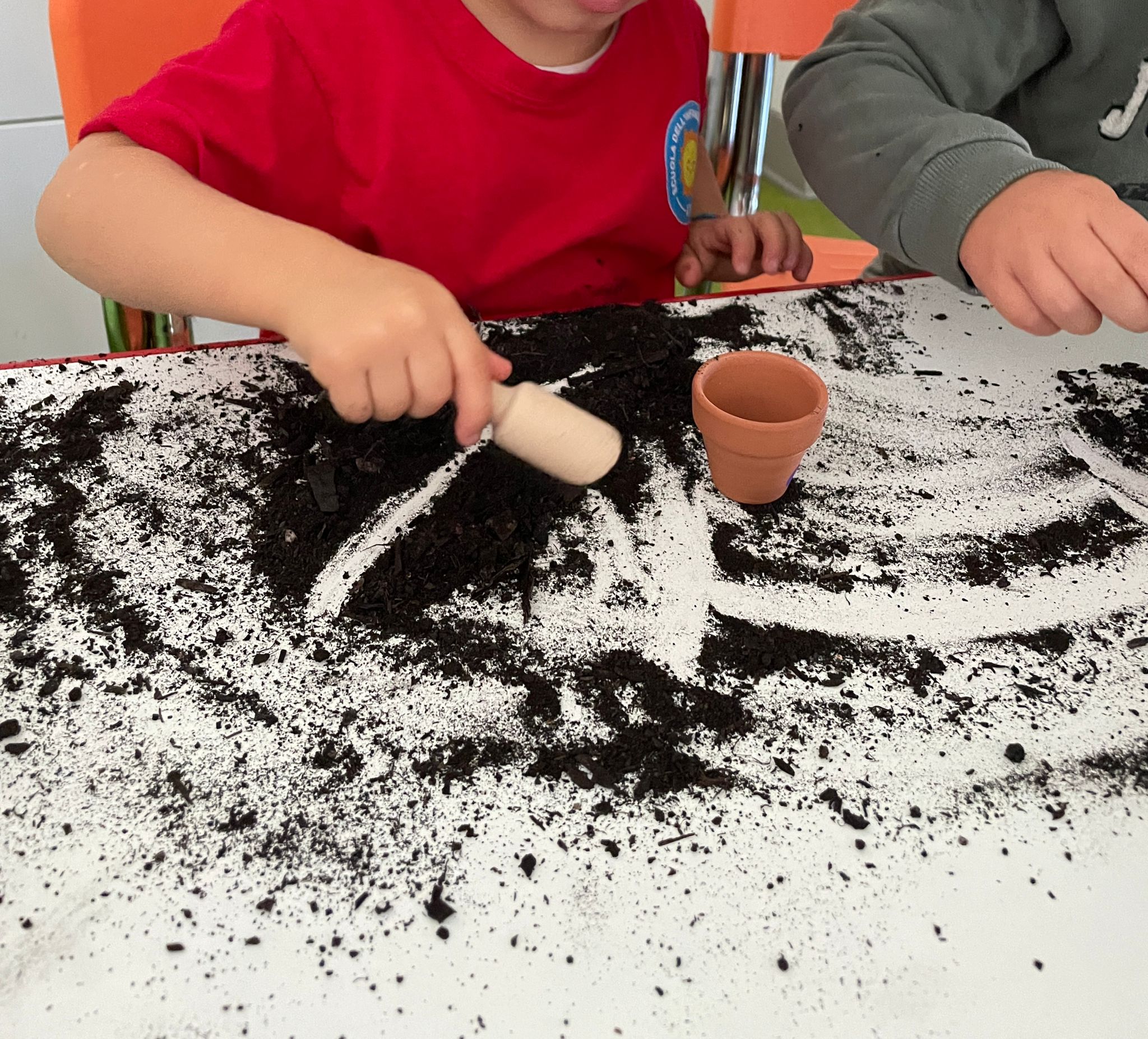 Attività della Sezione Primavera