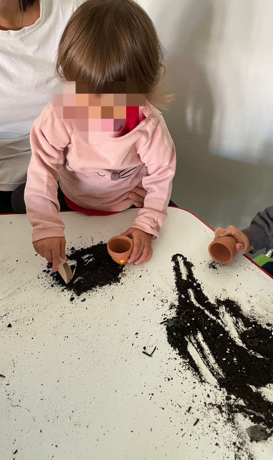 Attività della Sezione Primavera