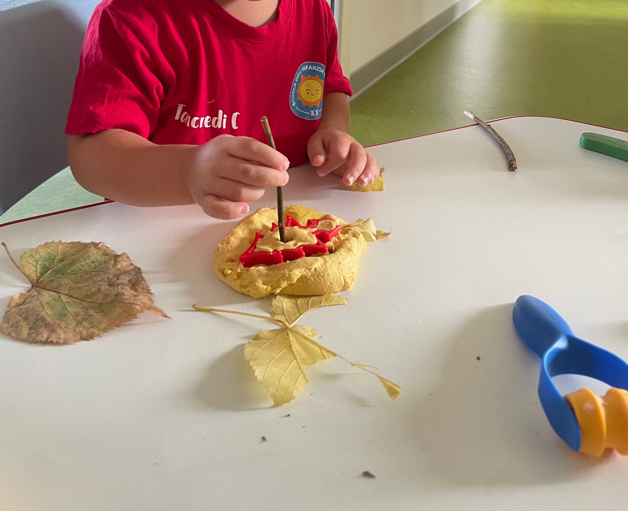 Attività della Sezione Primavera