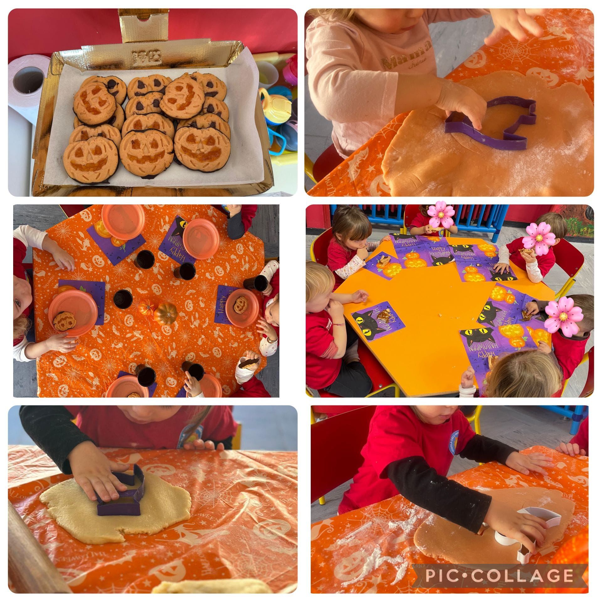 Sezione Primavera 2025/2026 2