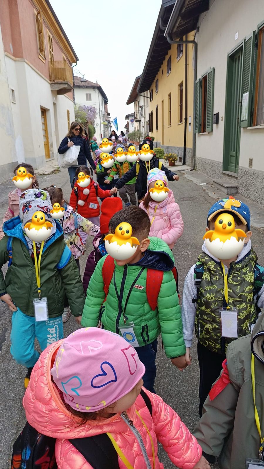 Attività dei Pulcini 4