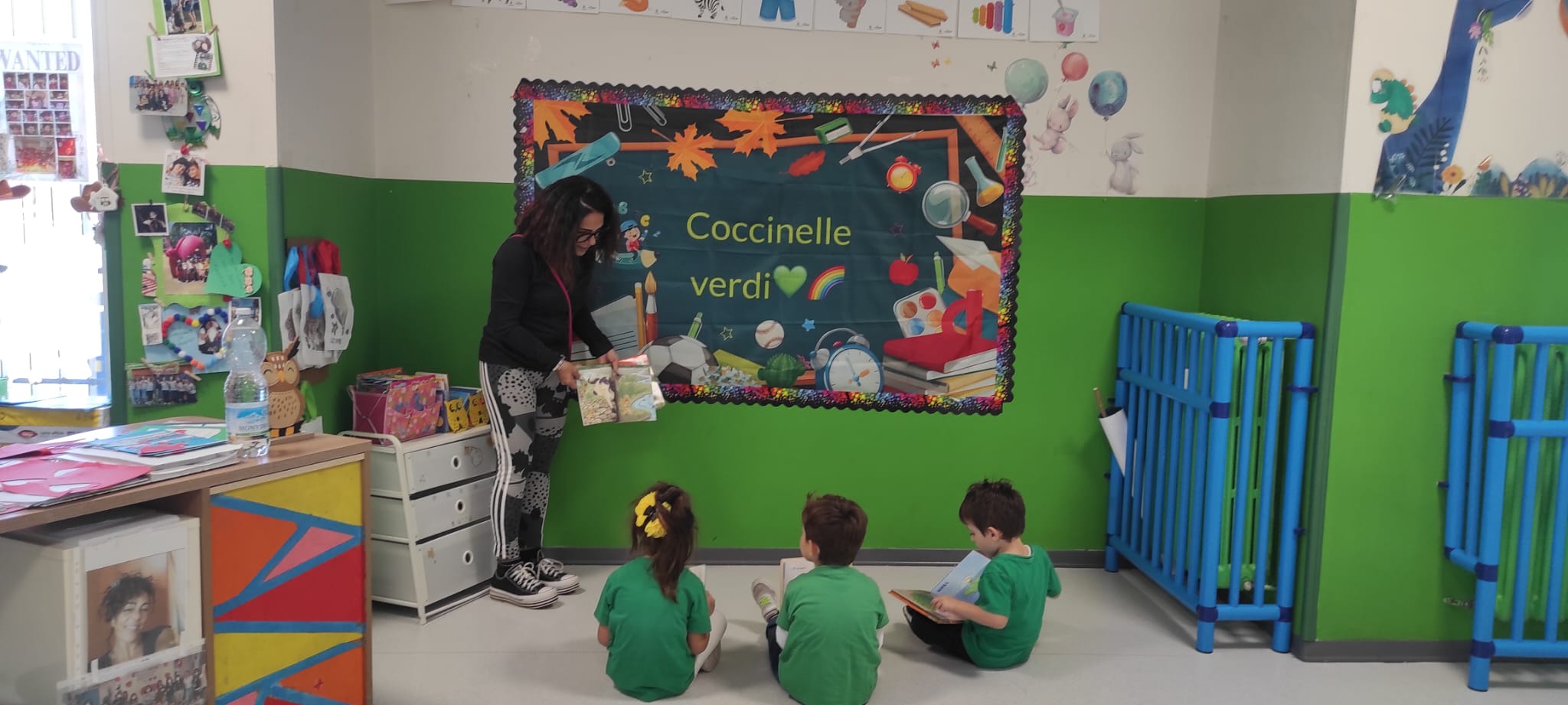 Sezione Coccinelle 2