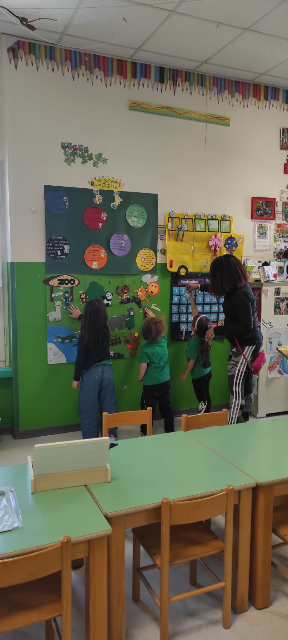 Sezione Coccinelle 4