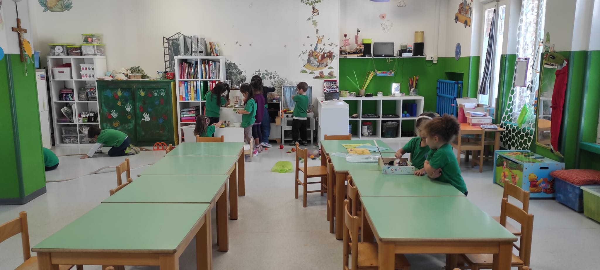 Sezione Coccinelle 5