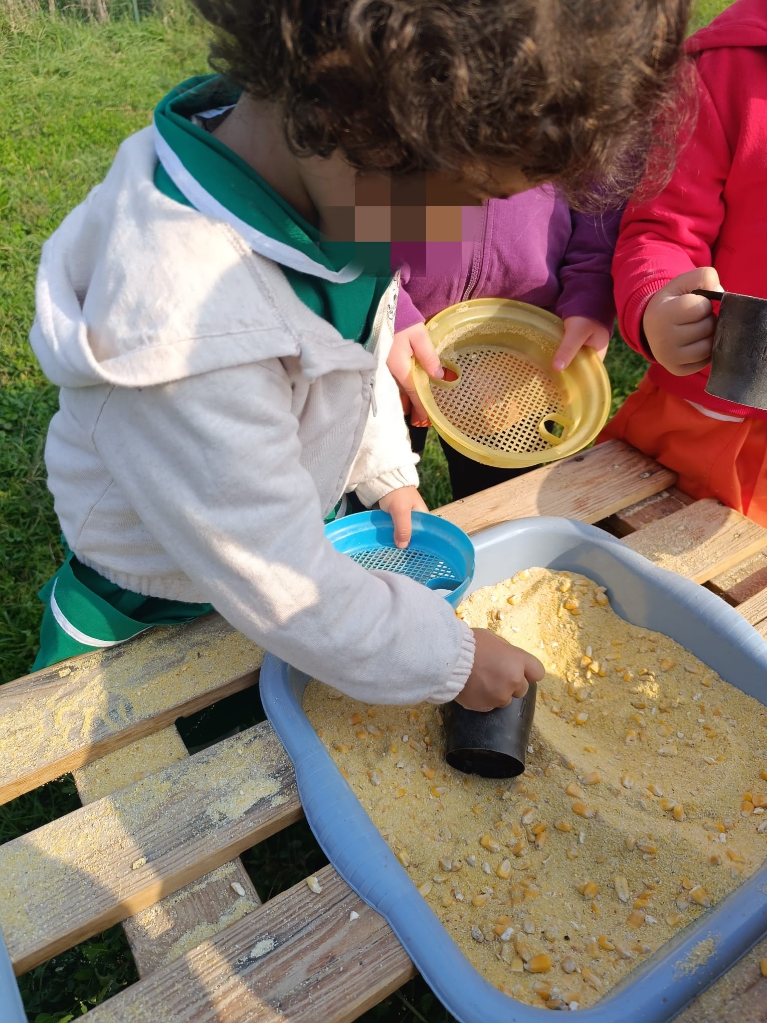 Gita alla Fattoria Didattica 2025 3