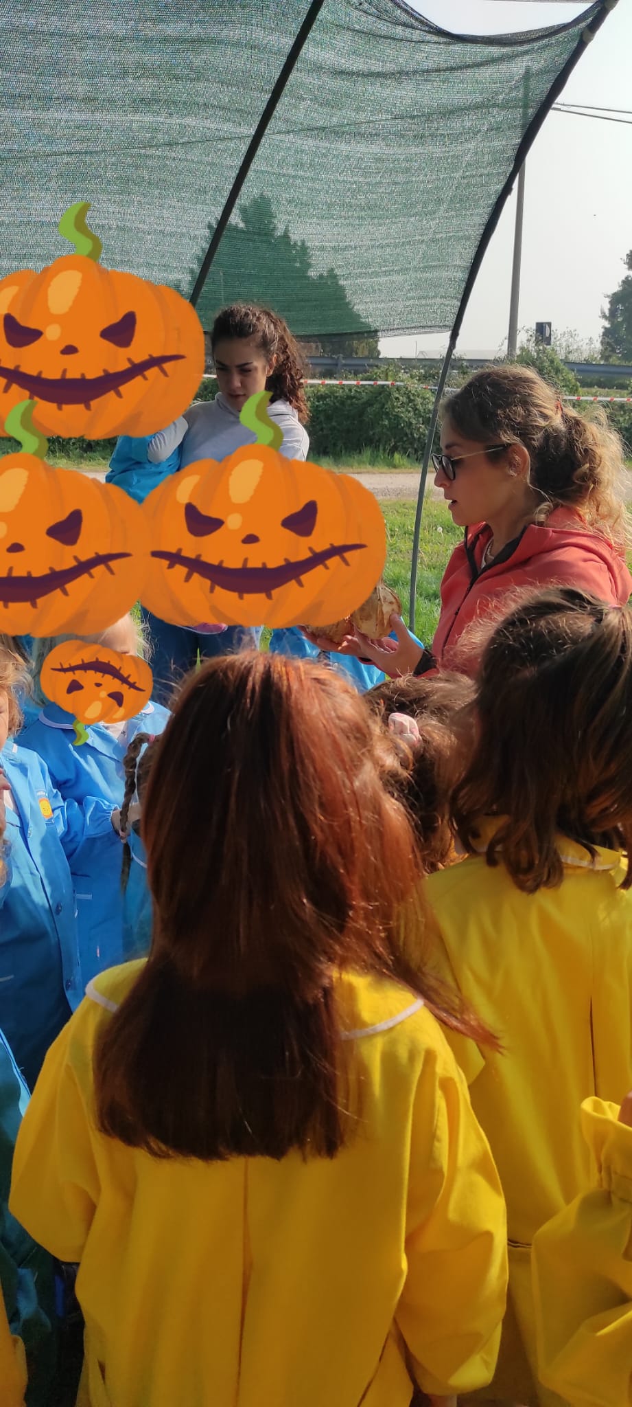 Gita alla Fattoria Didattica 2025 8