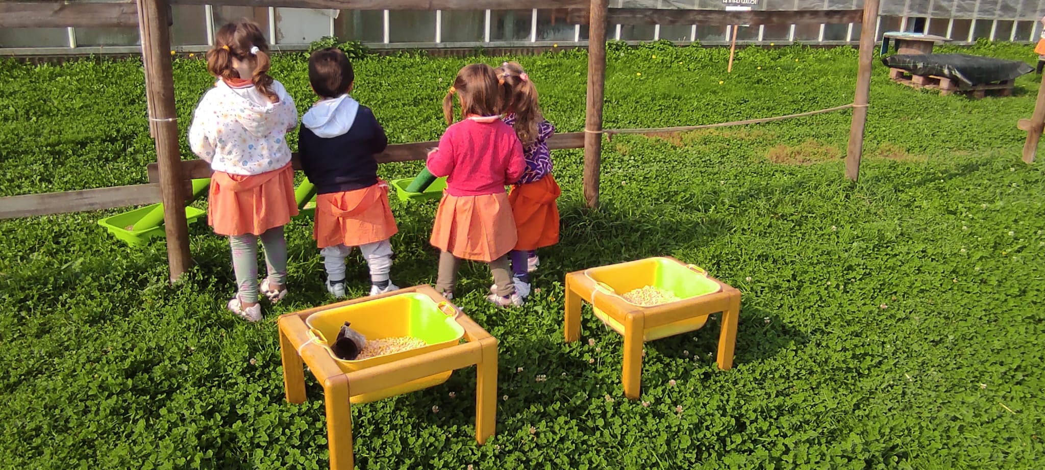 Gita alla Fattoria Didattica 2025 16